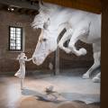 “The horse problem” di Claudia Fontes