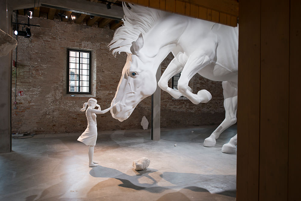 "The horse problem" di Claudia Fontes 1