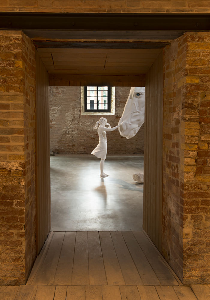 "The horse problem" di Claudia Fontes