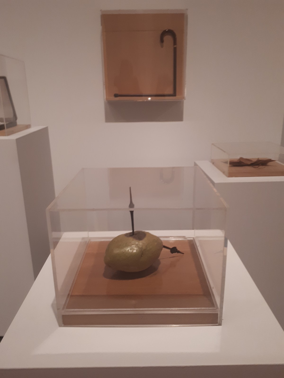 Poesía Brossa @Macba, Baercellona