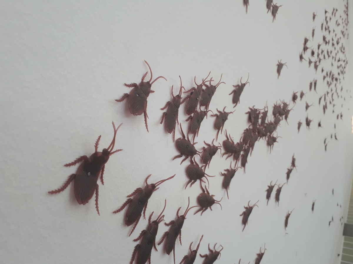 Poesía Brossa @Macba, Baercellona