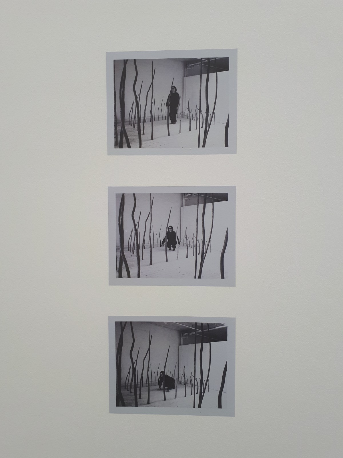 Rosemarie Castoro. Enfocar al infinito @ Macba, Barcellona