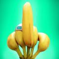 Banana dito medio