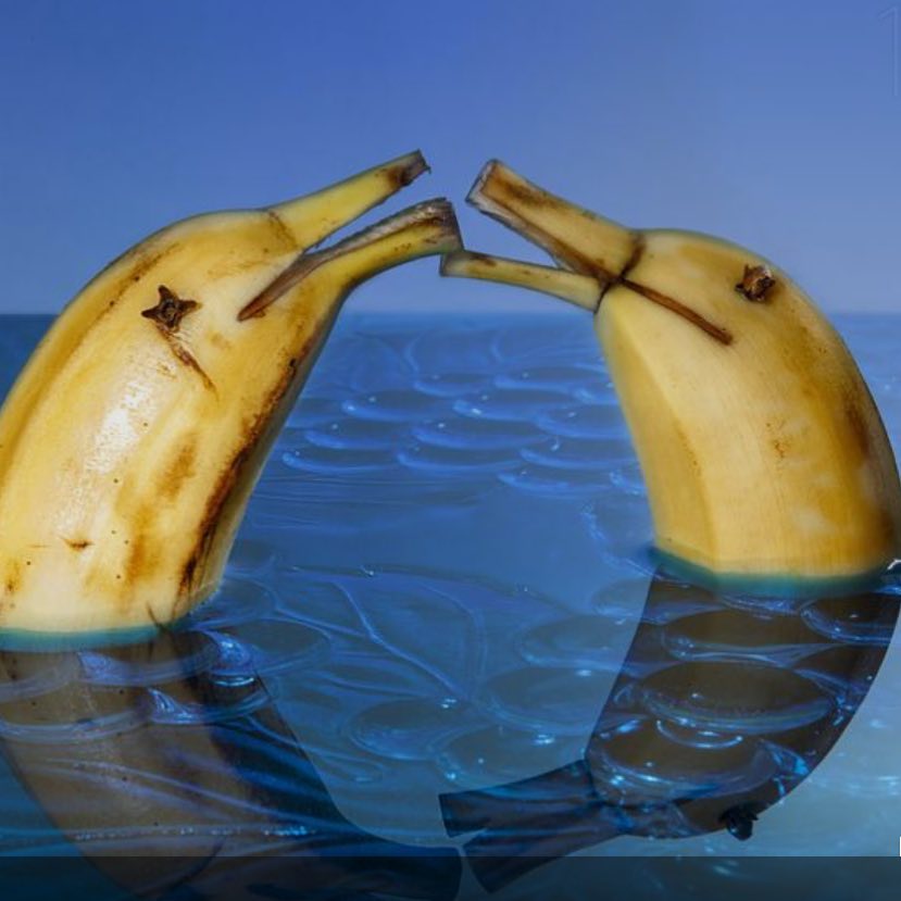 Banane delfini che si baciano