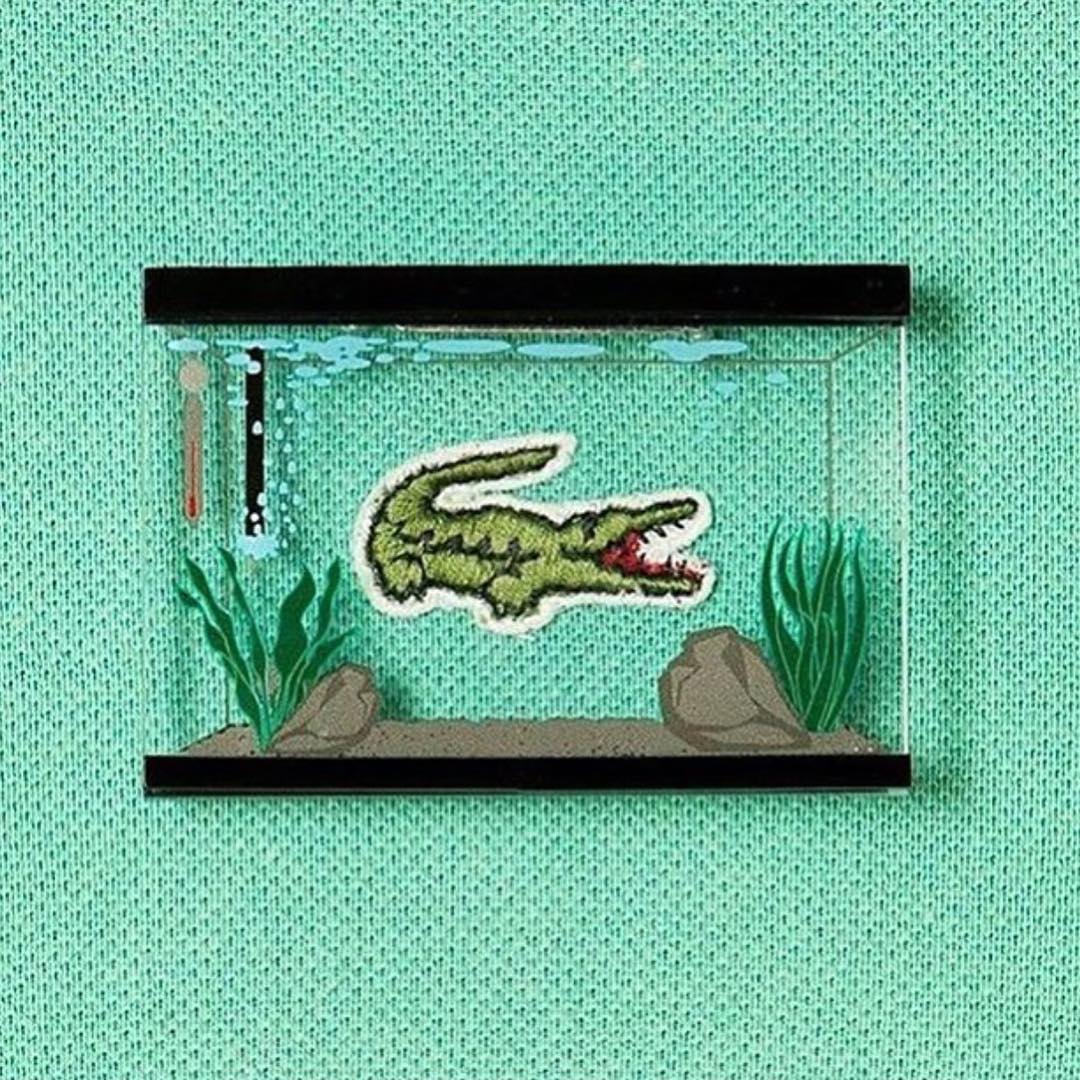 Coccodrillo Lacoste acquario