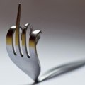 Fork you