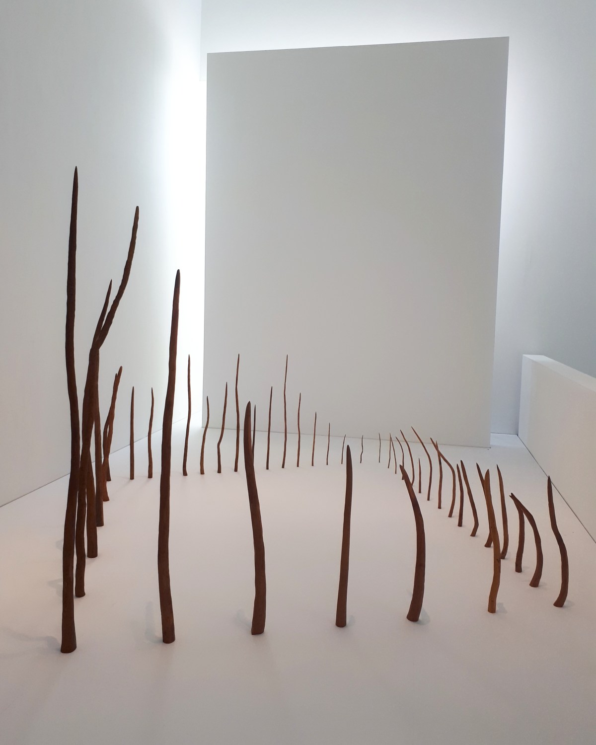 Rosemarie Castoro. Enfocar al infinito @ Macba, Barcellona