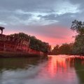 La SS Ayrfield, la foresta galleggiante di Homebush Bay, Sydney, Australia