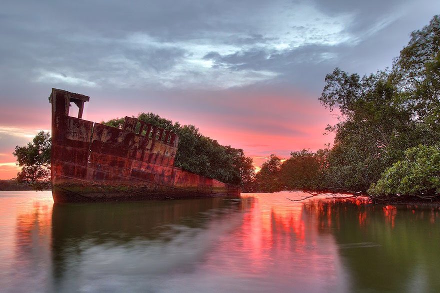 La SS Ayrfield, la foresta galleggiante di Homebush Bay, Sydney, Australia
