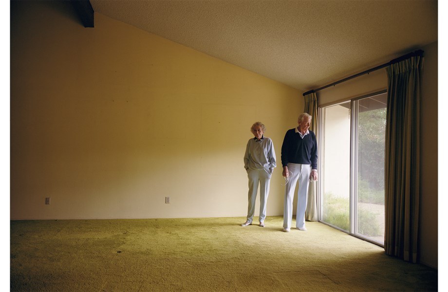 Larry Sultan - Pictures From Home