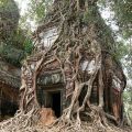Angkor Wat, in Cambogia