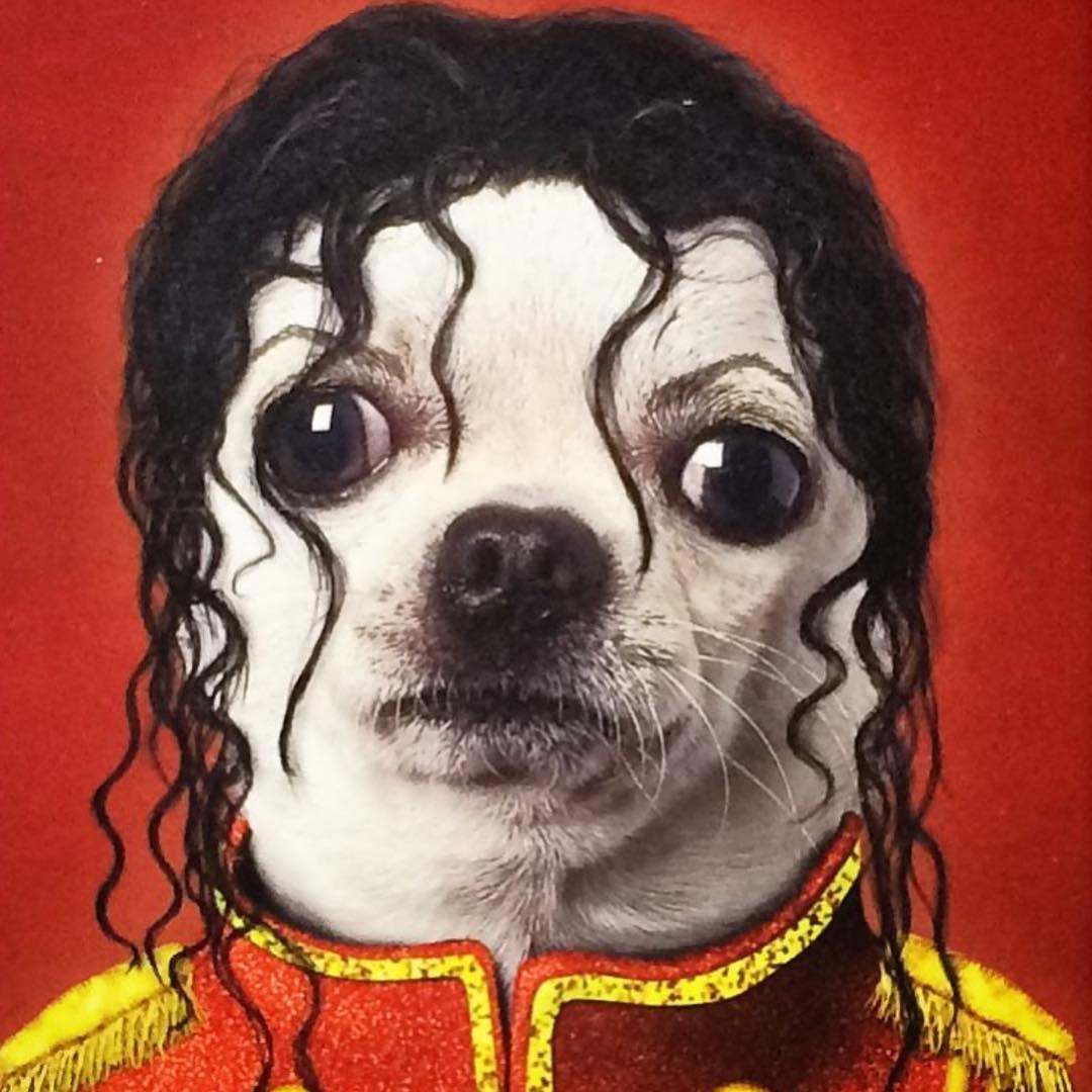 Michael Jackson barboncino