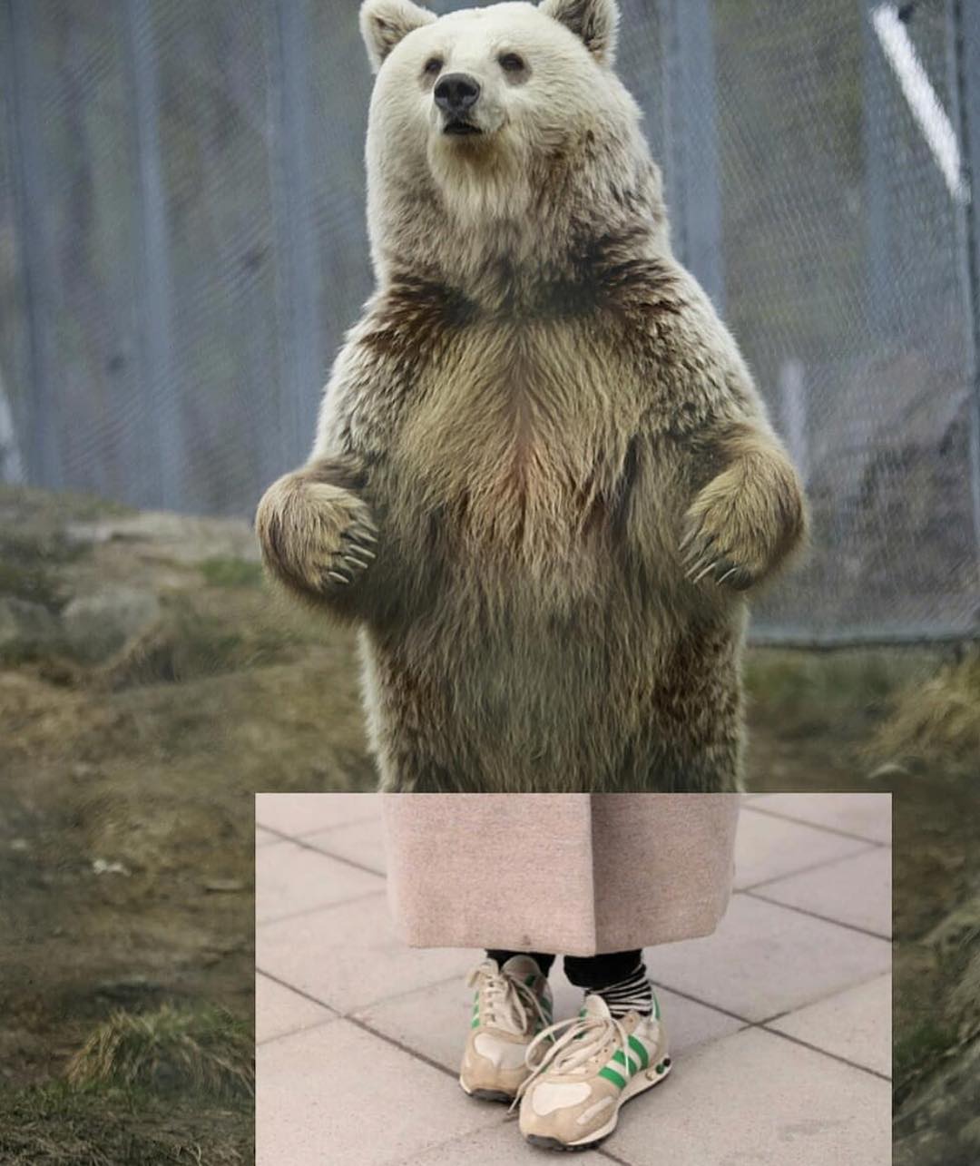 Collage by Naro Pinosa