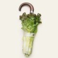 Ombrello per vegetariani