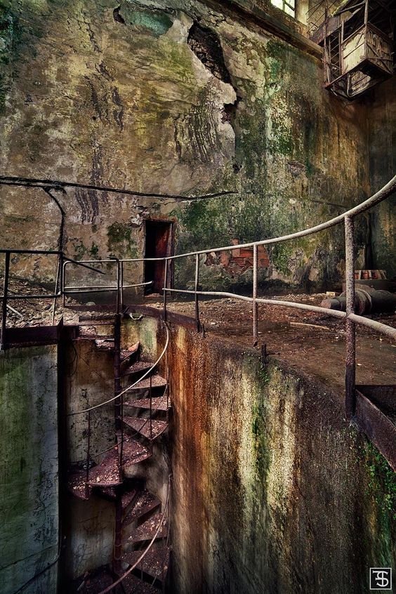 Fotografia di Sven Fennema