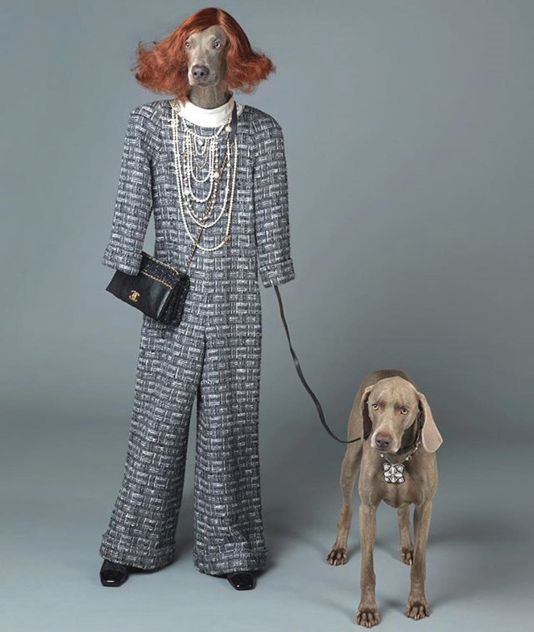 William Wegman for Chanel
