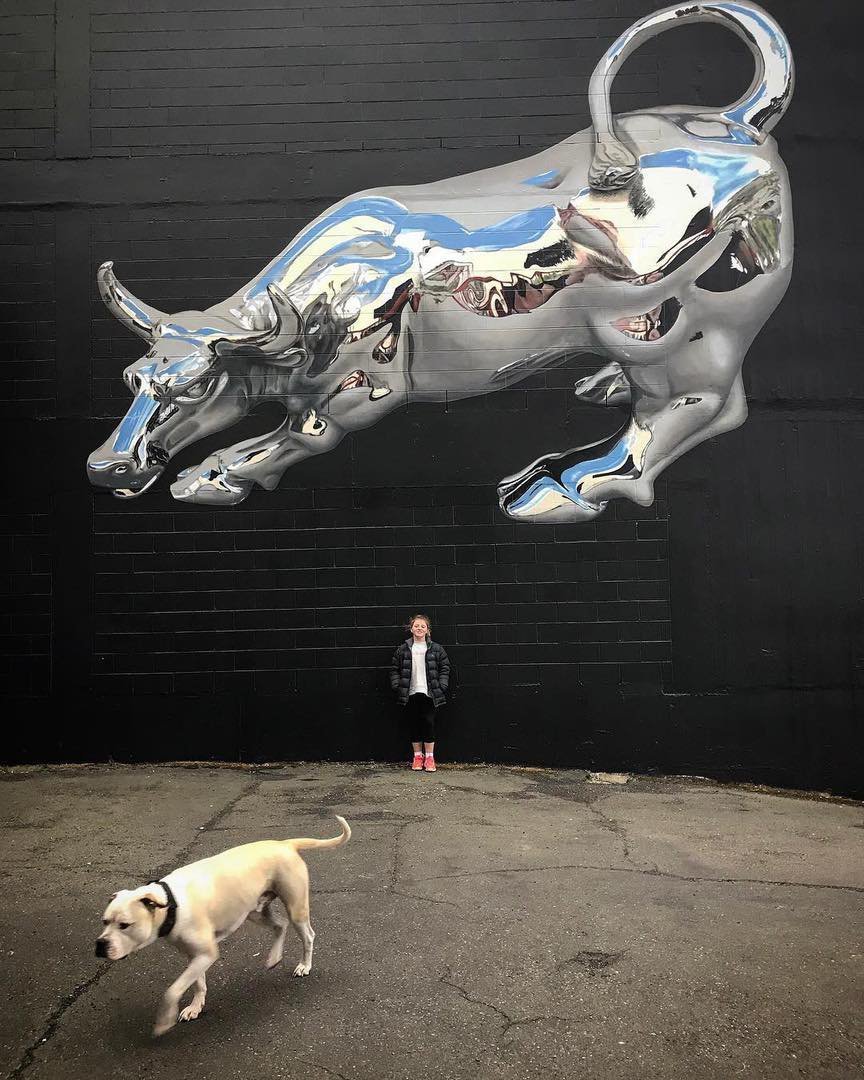 Bikismo @Dunedin, New Zealand