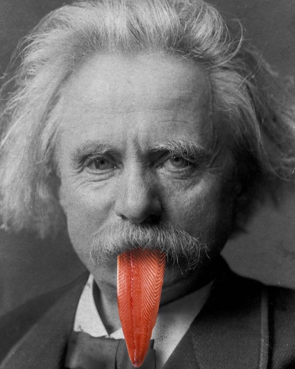 Einstein lingua salmone