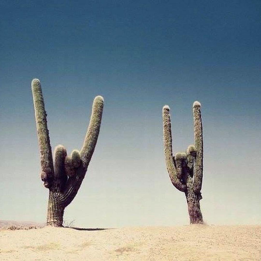 Posted by Maurizio Cattelan