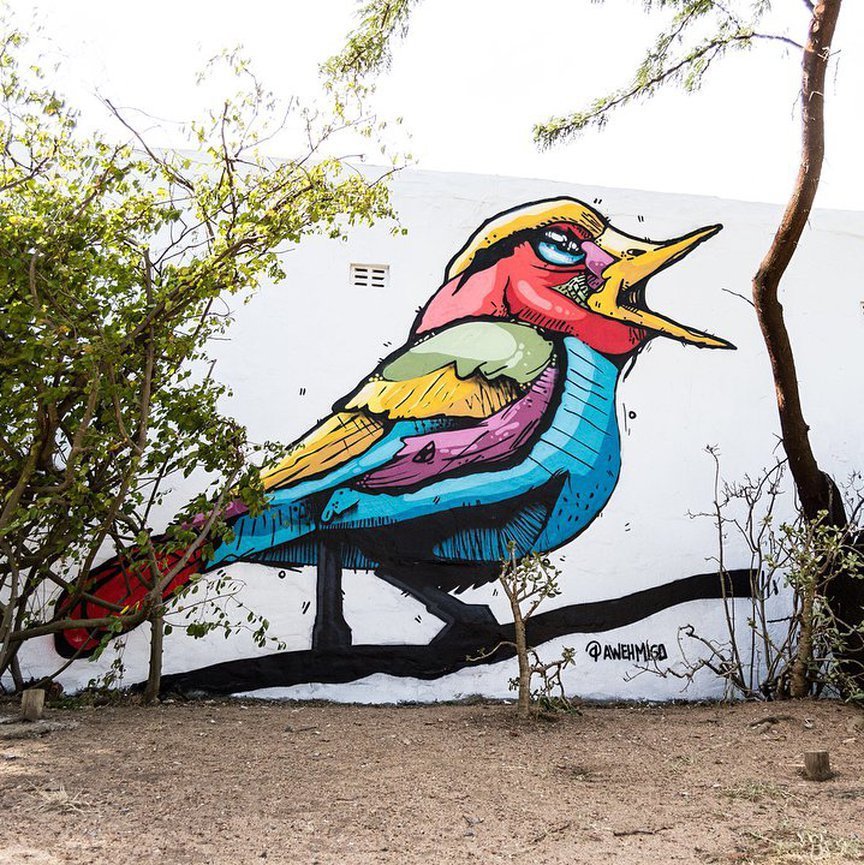 Mr Migo @Cape Town, South Africa