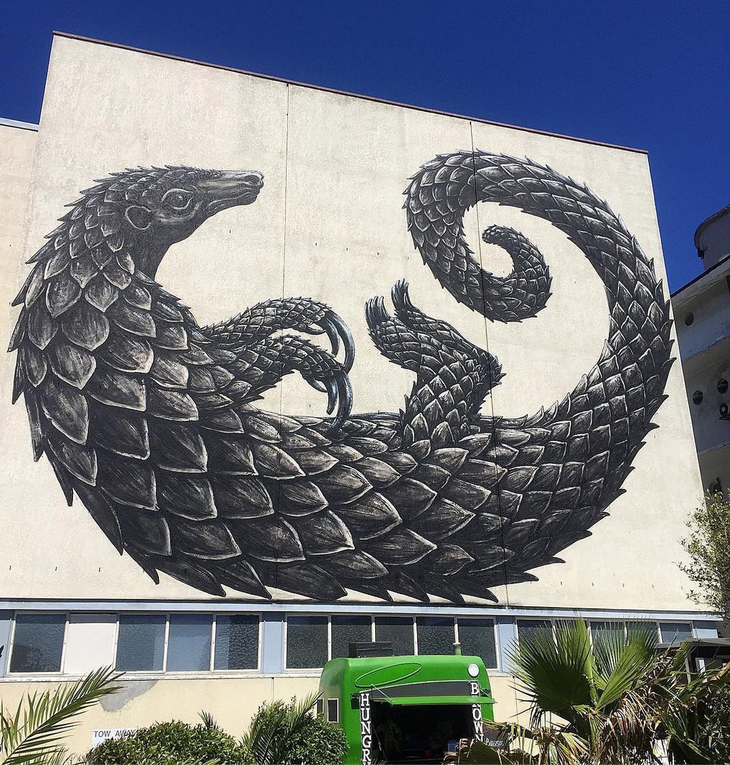 ROA @Cape Town, South Africa
