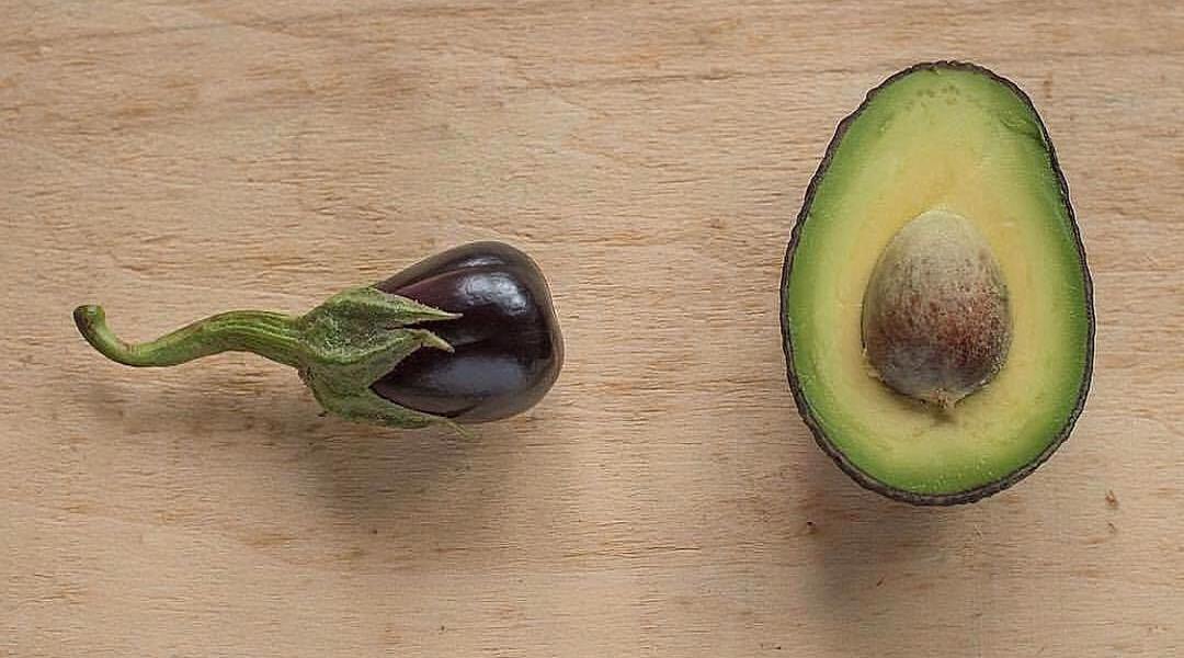 Spermatozoo melanzana