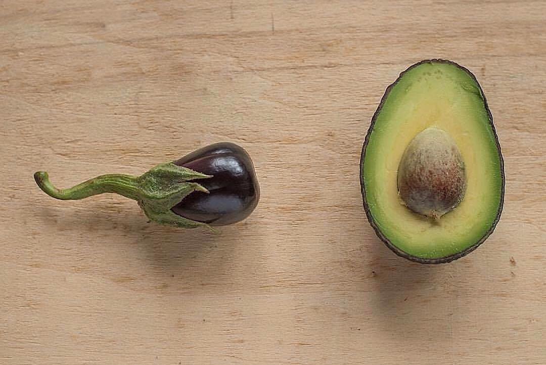 Spermatozoo melanzana