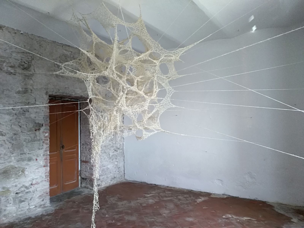 Daniela Frongia Janas