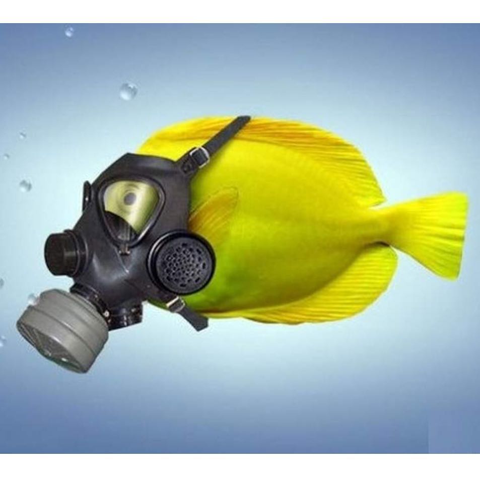 Pesce con la maschera anti-gas