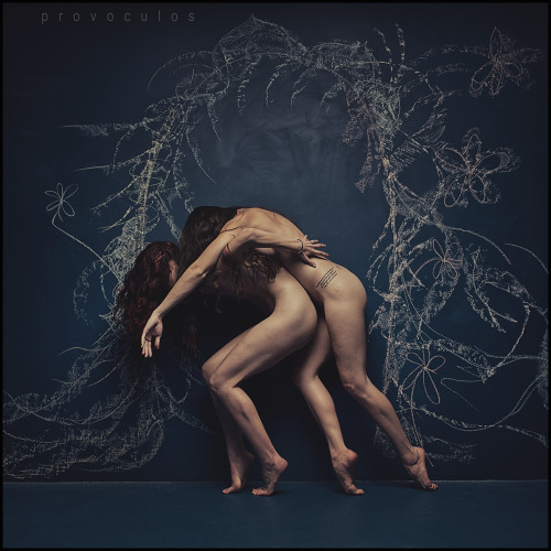 Provoculos