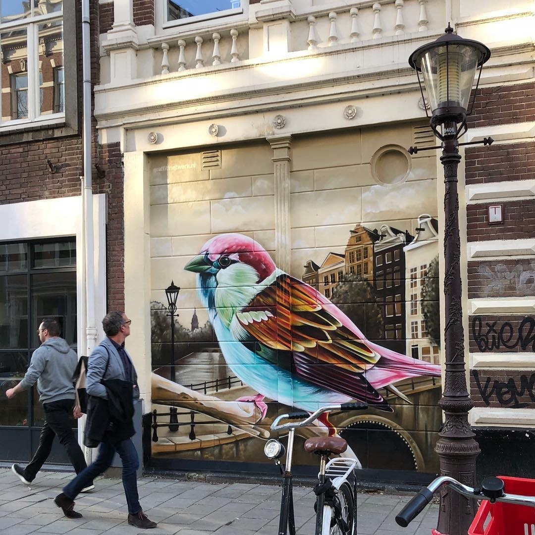 Dopie @Amsterdam, Netherlands