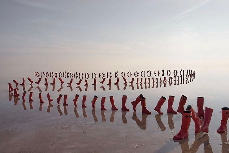 Searching for consciousness, one step at a time by May Parlar