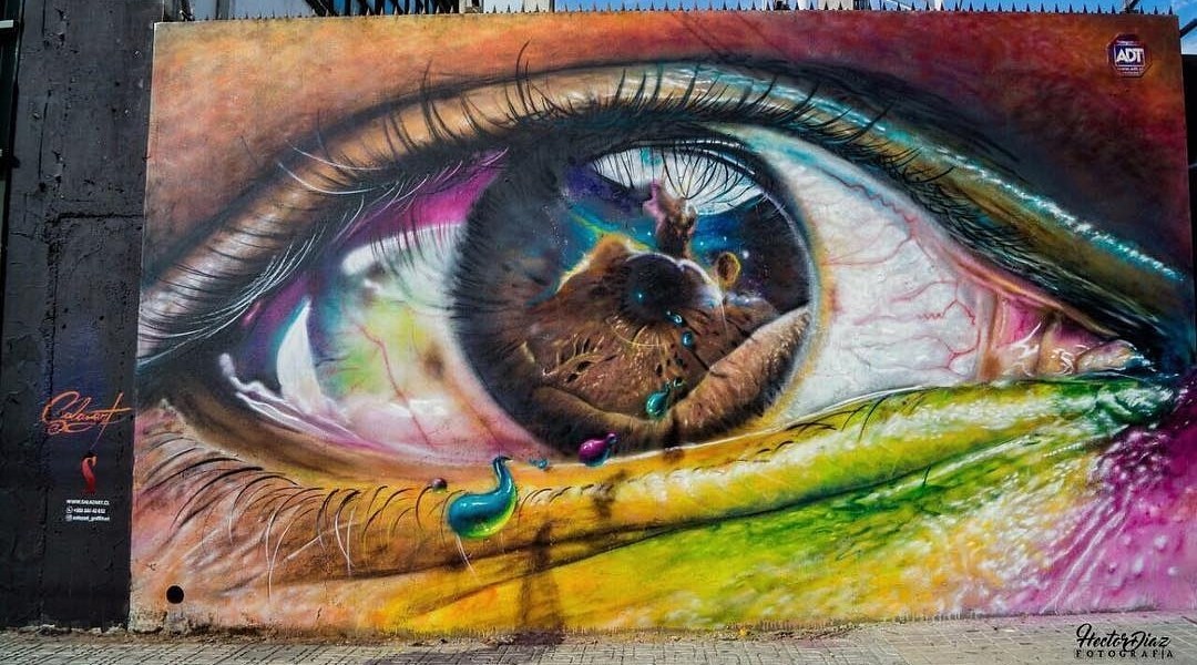 Salazart Salazart @Talca, Chile