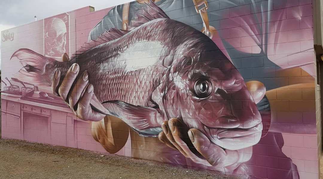 Smug One @Tumby Bay, Australia