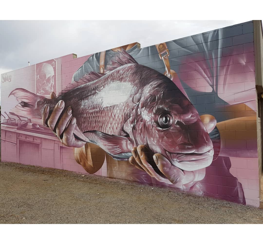 Smug One @Tumby Bay, Australia