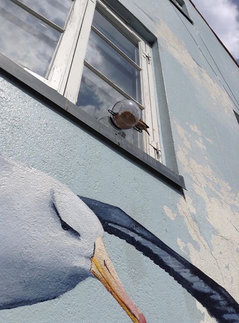 Piercarlo Carella @ Helsingør, Denmark