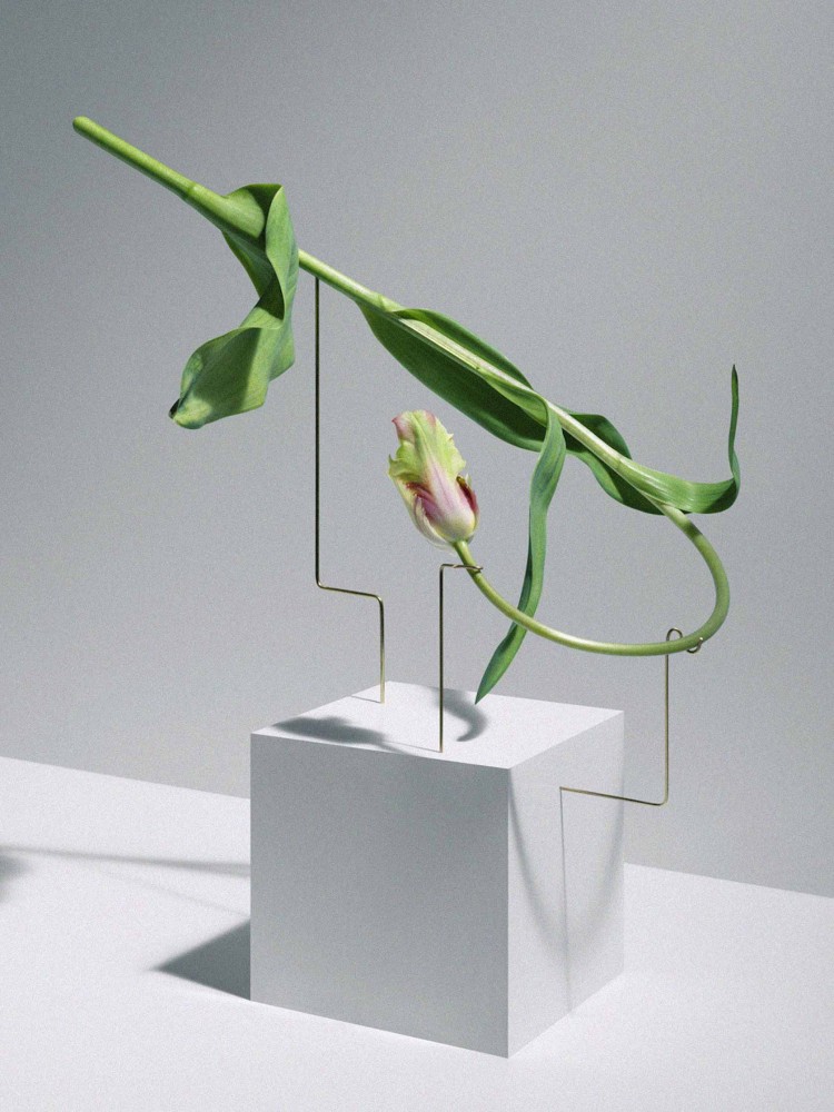 Carl Kleiner