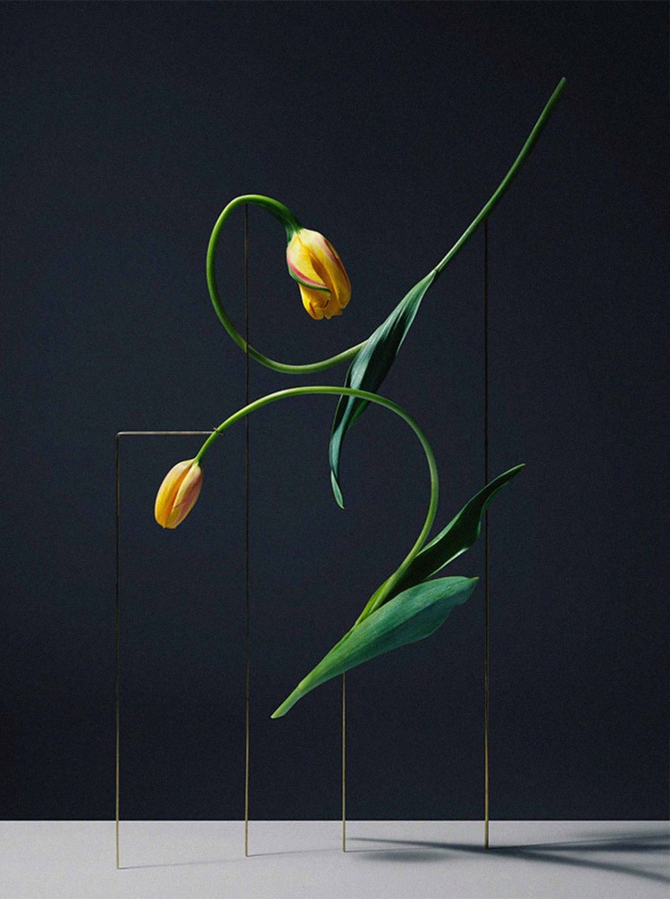 Carl Kleiner
