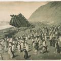 Naufragio della “Gratitudine”, Macquarie Island, 1911. Fotografia di Frank Hurley