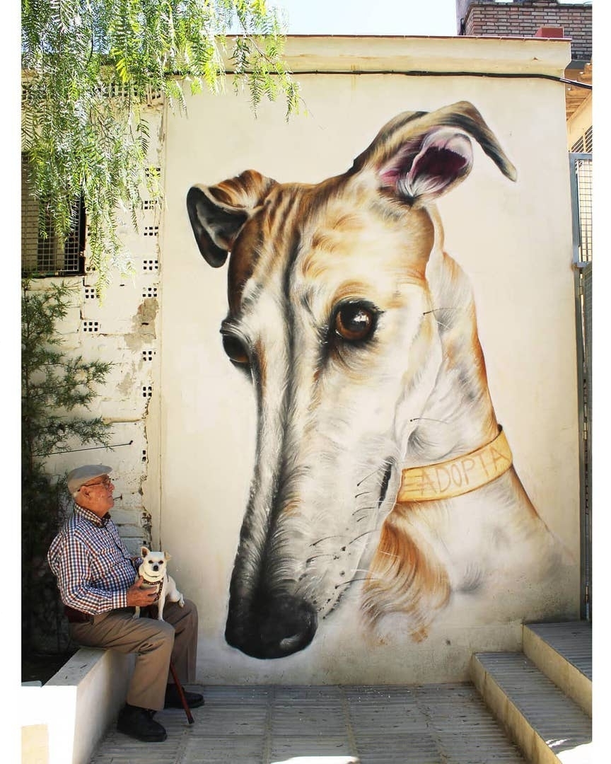 Sake Ieneka @Baena, Spain