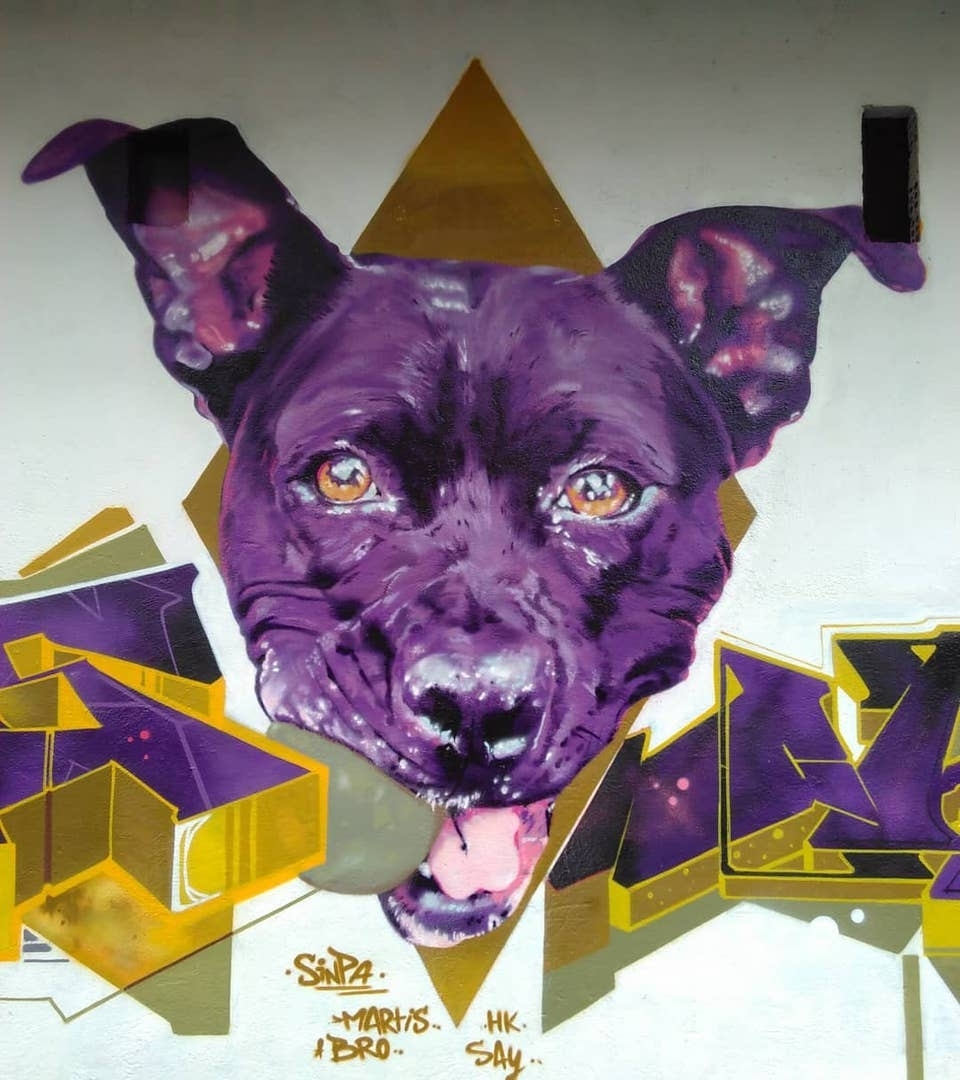 Sinpa @Vitoria-Gasteiz, Spain