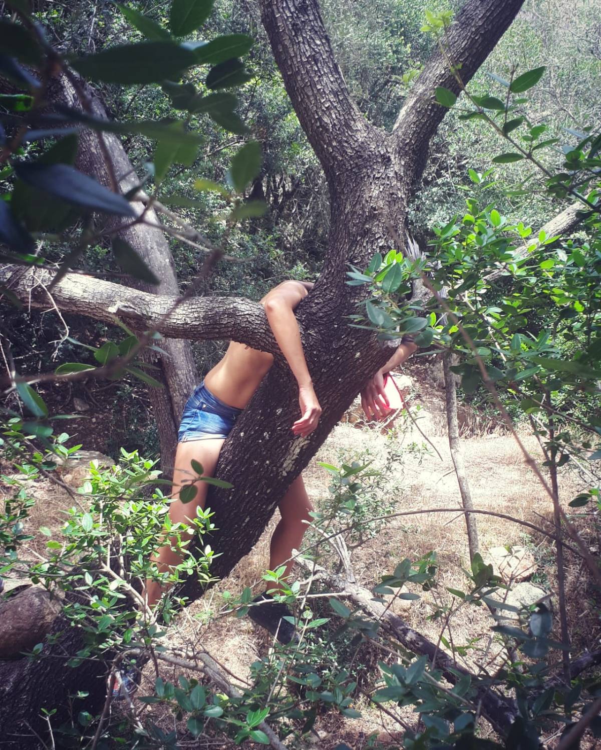 Brabs, Innestata. Fotografia di Matteo Ambu