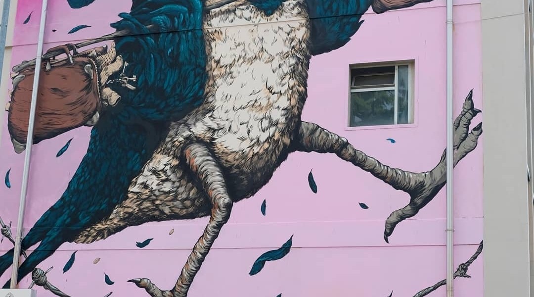 Ericailcane @ Bergamo, Italy