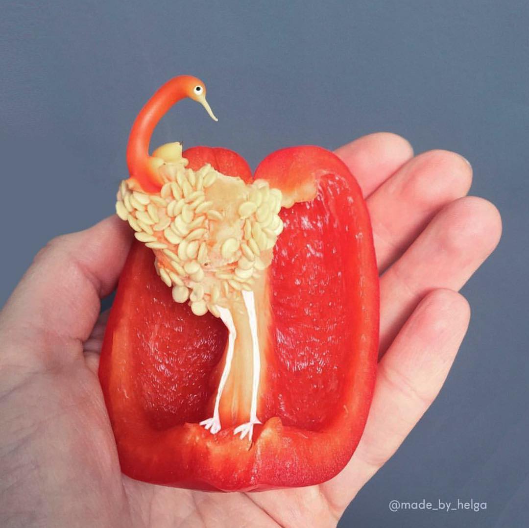 Fenicottero peperone