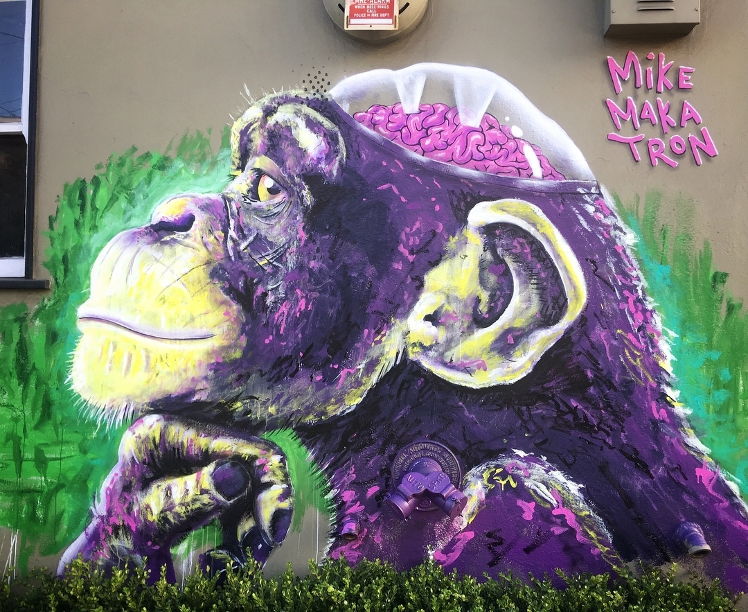 Mike Makatron @San Francisco, USA