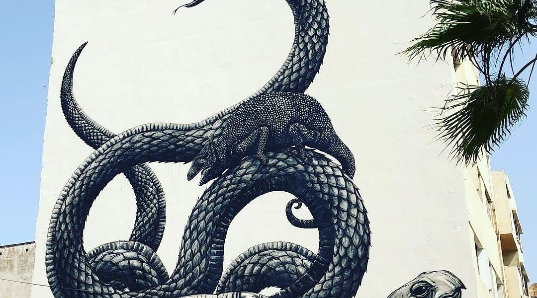 ROA @Casablanca, Morocco