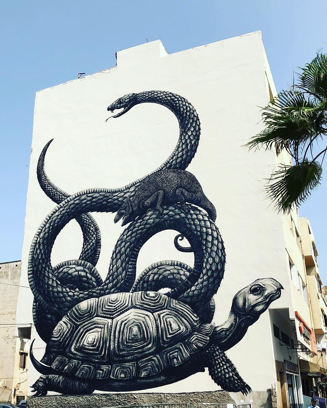 ROA @Casablanca, Morocco