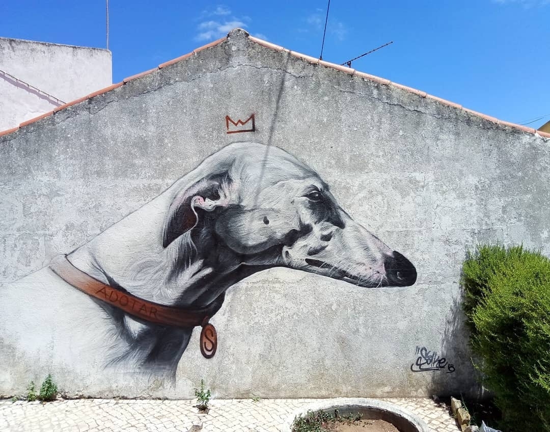 Sake Ieneka @Loures, Portugal Sake Ieneka @Loures, Portugal