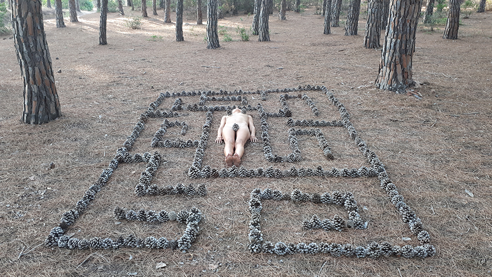 Ambu-Picci - Il labirinto è un concetto