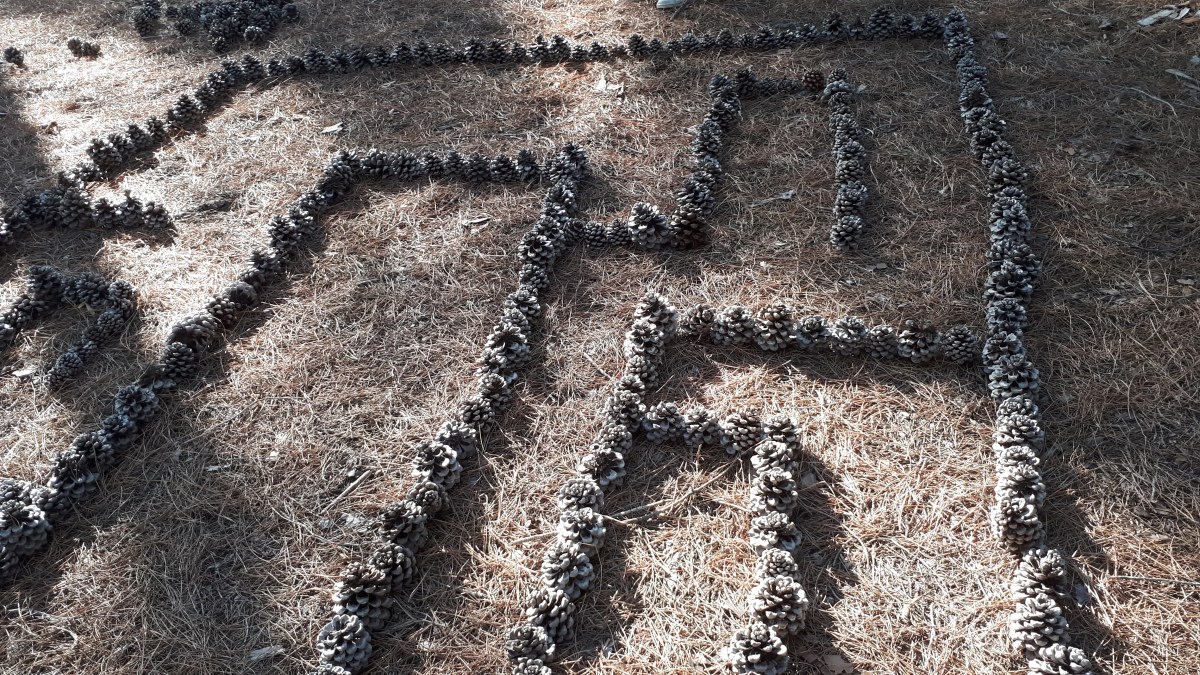 Ambu-Picci - Il labirinto è un concetto